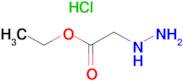 Ethyl Hydrazinoacetate hydrochloride
