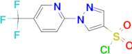1-[5-(Trifluoromethyl)pyridin-2-yl]-1H-pyrazole-4-sulphonyl chloride