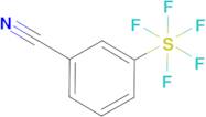 3-(Pentafluorosulfanyl)benzonitrile