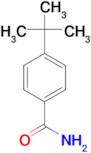 4-(tert-Butyl)benzamide