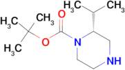tert-Butyl (2R)-2-isopropylpiperazine-1-carboxylate