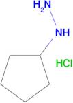 Cyclopentylhydrazine hydrochloride