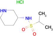 (R)-N-(Piperidin-3-yl)propane-2-sulfonamide hydrochloride