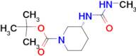 (R)-tert-Butyl 3-[(methylcarbamoyl)amino]piperidine-1-carboxylate