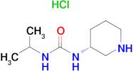 (R)-1-(Piperidin-3-yl)-3-(propan-2-yl)urea hydrochloride