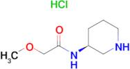 (S)-2-Methoxy-N-(piperidin-3-yl)acetamide hydrochloride