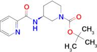 (S)-tert-Butyl 3-(pyridine-2-carbonylamino)piperidine-1-carboxylate