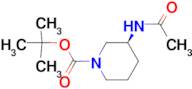 (S)-tert-Butyl 3-acetamidopiperidine-1-carboxylate