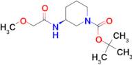 (S)-tert-Butyl 3-(2-methoxyacetamido)piperidine-1-carboxylate