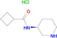 (S)-N-(Piperidin-3-yl)cyclobutanecarboxamide hydrochloride