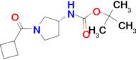 (R)-tert-Butyl 1-(cyclobutanecarbonyl)pyrrolidin-3-ylcarbamate