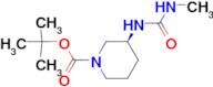 (S)-tert-Butyl 3-[(methylcarbamoyl)amino]piperidine-1-carboxylate