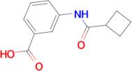 3-[(Cyclobutylcarbonyl)amino]benzoic acid