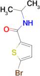 5-Bromo-N-isopropyl-2-thiophenecarboxamide
