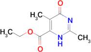 2,5-Dimethyl-6-oxo-1,6-dihydro-pyrimidine-4-carboxylic acid ethyl ester