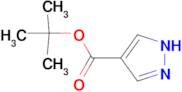 tert-Butyl 1H-pyrazole-4-carboxylate