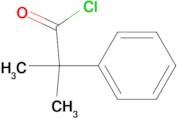 2-Methyl-2-phenyl-propionyl chloride