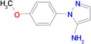 2-(4-Methoxyphenyl)-2H-pyrazol-3-ylamine