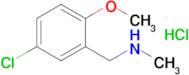 (5-Chloro-2-methoxybenzyl)methylamine hydrochloride