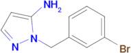 1-(3-Bromobenzyl)-1H-pyrazol-5-amine