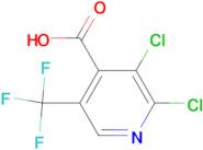 2,3-Dichloro-5-trifluoromethyl-isonicotinic acid