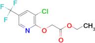 (3-Chloro-5-trifluoromethyl-pyridin-2-yloxy)-acetic acid ethyl ester