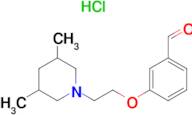 3-[2-(3,5-Dimethyl-1-piperidinyl)ethoxy]-benzaldehyde hydrochloride