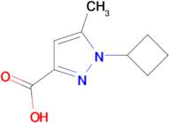 1-Cyclobutyl-5-methyl-1H-pyrazole-3-carboxylic acid
