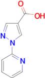 1-Pyridin-2-yl-1H-pyrazole-4-carboxylic acid