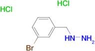 1-(3-Bromobenzyl)hydrazine dihydrochloride