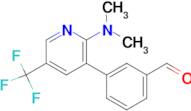 3-(2-Dimethylamino-5-trifluoromethyl-pyridin-3-yl)-benzaldehyde