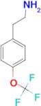 2-(4-Trifluoromethoxyphenyl)ethylamine