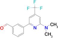 3-(6-Dimethylamino-4-trifluoromethyl-pyridin-2-yl)-benzaldehyde