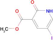 2-Hydroxy-5-iodo-nicotinic acid methyl ester