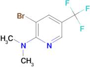(3-Bromo-5-trifluoromethyl-pyridin-2-yl)dimethylamine