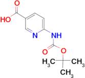 6-tert-Butoxycarbonylamino-nicotinic acid