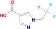 1-(2,2,2-Trifluoroethyl)-1H-pyrazole-4-carboxylic acid