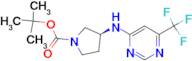 tert-Butyl (3S)-3-[6-(trifluoromethyl)pyrimidin-4-yl]aminopyrrolidine-1-carboxylate