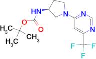 tert-Butyl N-(3S)-1-[6-(trifluoromethyl)pyrimidin-4-yl]pyrrolidin-3-ylcarbamate