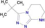 3-tert-Butyl-5H,6H,7H,8H-[1,2,4]triazolo-[4,3-a]pyrimidine