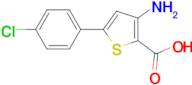 3-Amino-5-(4-chlorophenyl)thiophene-2-carboxylic acid