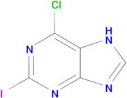 6-Chloro-2-iodopurine