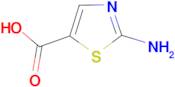 2-Aminothiazole-5-carboxylic acid