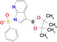 1-(phenylsulfonyl)-3-(4,4,5,5-tetramethyl-1,3,2-dioxaborolan-2-yl)pyrrolo[2,3-b]pyridine