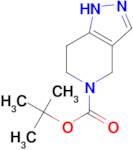 5-Boc-1,4,6,7-tetrahydropyrazolo[4,3-c]pyridine