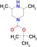 1-Boc-3,5-Dimethylpiperazine