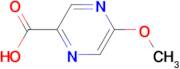 5-Methoxypyrazine-2-carboxylic acid