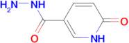 6-Oxo-1,6-dihydropyridine-3-carboxylic acid hydrazide