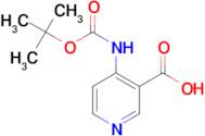 4-Boc-Aminonicotinic acid