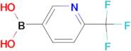 2-(Trifluoromethyl)pyridin-5-ylboronic acid